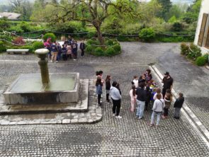 IMG_20230420_151145